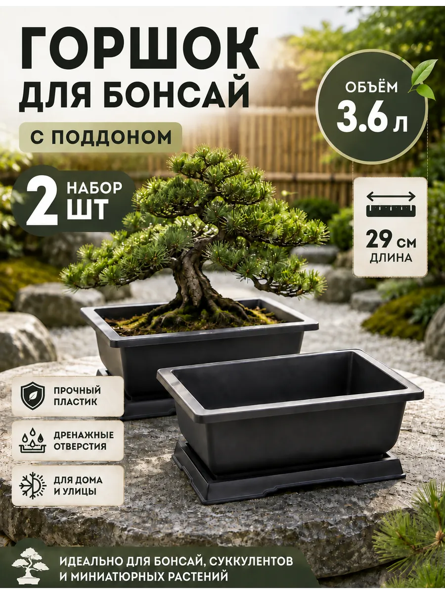 Бонсайницы 3,6 л с поддонами